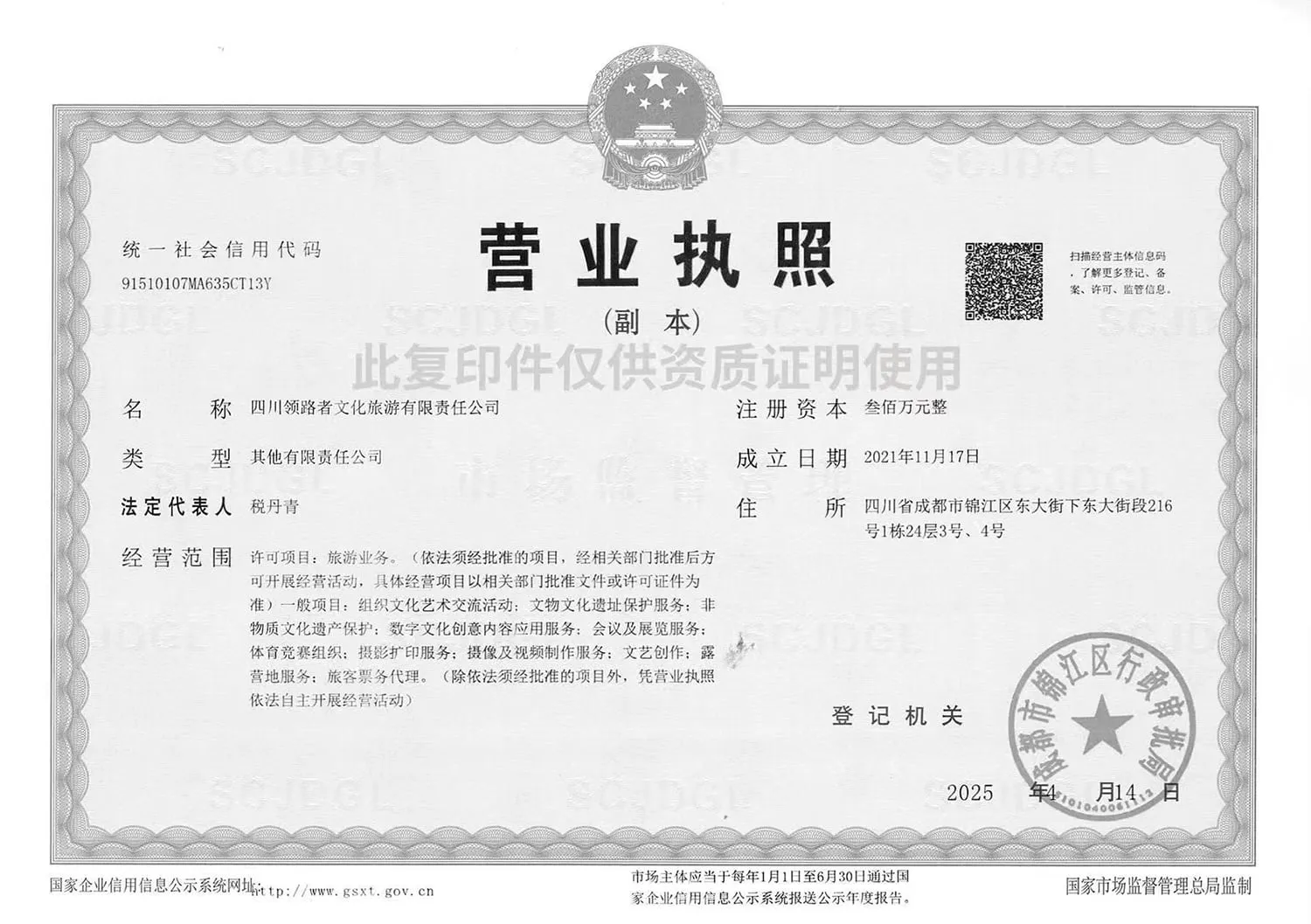 RoamFun漫游乐趣 - 四川领路者总社营业执照