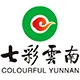 美团旅行战略合作伙伴