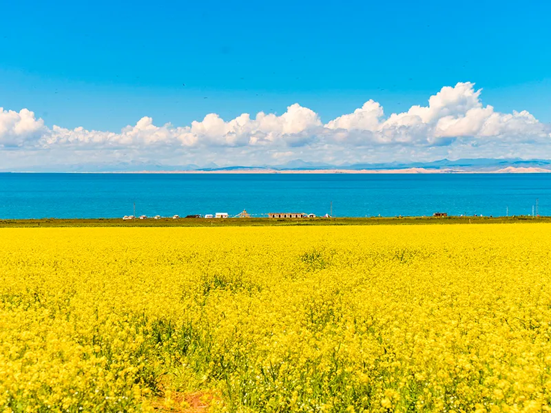 西北大环线6日经典游｜青海甘肃全景盐湖丝路之旅 - 甘肃 5